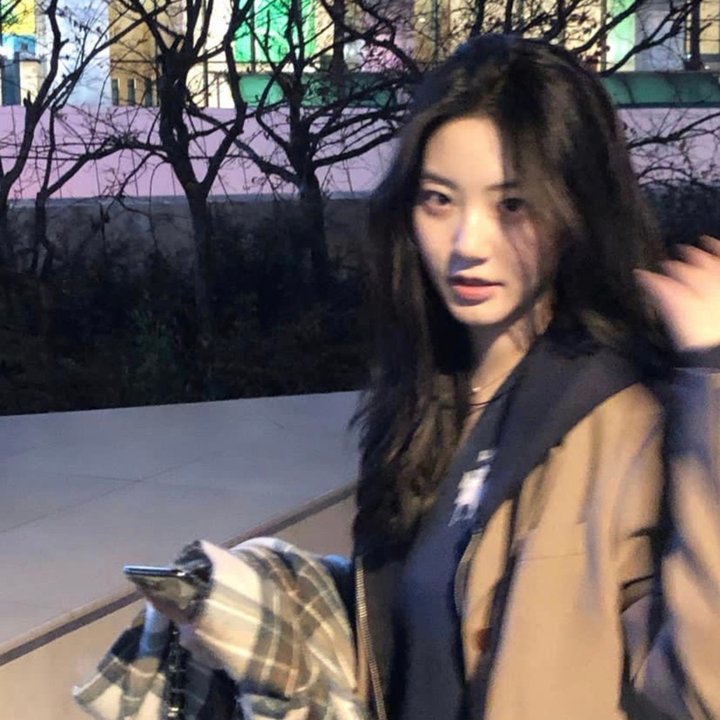 虾米小白鲸